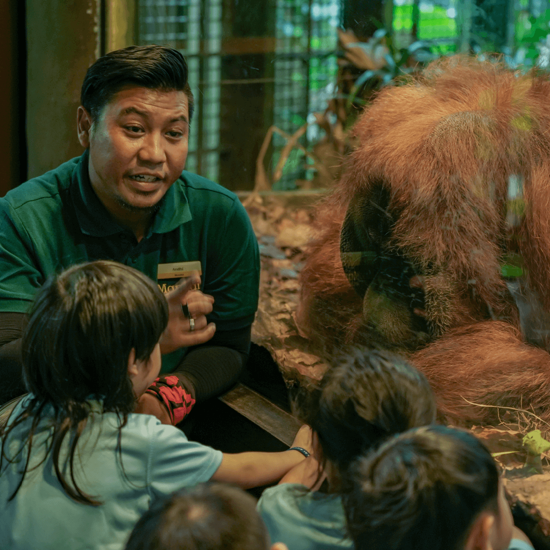 Mandai ZooSchool | Singapore's Best Wildlife Experience